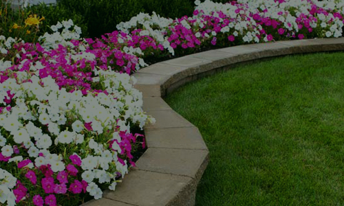 Design of Flower Beds, Conception de plates-bandes, Christian Lauzon Paysagiste Landscaping, Ottawa, Gatineau